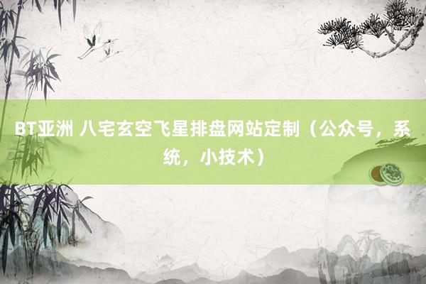 BT亚洲 八宅玄空飞星排盘网站定制（公众号，系统，小技术）
