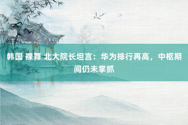 韩国 裸舞 北大院长坦言：华为排行再高，中枢期间仍未掌抓