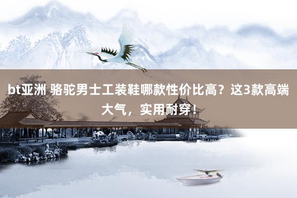 bt亚洲 骆驼男士工装鞋哪款性价比高？这3款高端大气，实用耐穿！