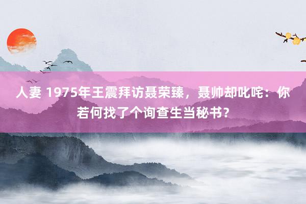 人妻 1975年王震拜访聂荣臻，聂帅却叱咤：你若何找了个询查生当秘书？