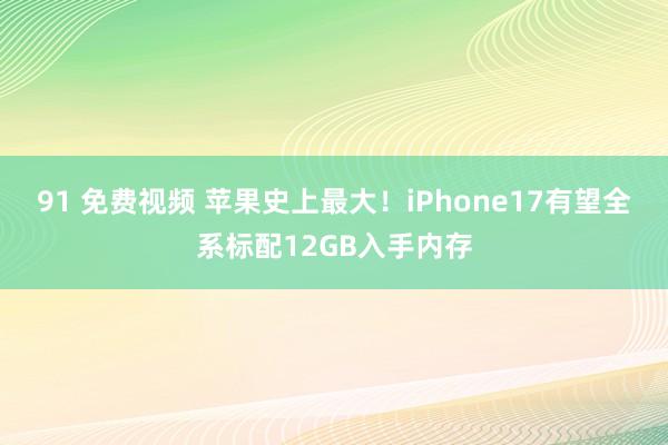 91 免费视频 苹果史上最大！iPhone17有望全系标配12GB入手内存
