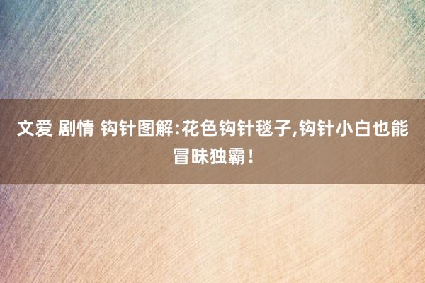 文爱 剧情 钩针图解:花色钩针毯子,钩针小白也能冒昧独霸！