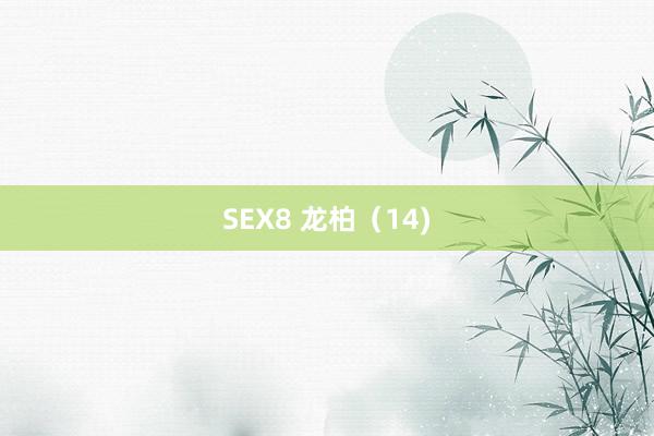 SEX8 龙柏（14)