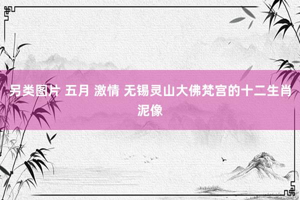 另类图片 五月 激情 无锡灵山大佛梵宫的十二生肖泥像