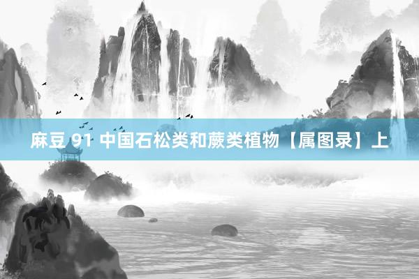 麻豆 91 中国石松类和蕨类植物【属图录】上