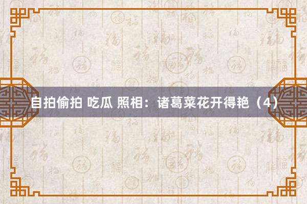 自拍偷拍 吃瓜 照相：诸葛菜花开得艳（4）