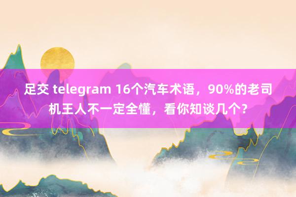 足交 telegram 16个汽车术语，90%的老司机王人不一定全懂，看你知谈几个？