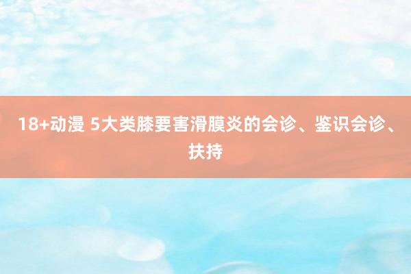 18+动漫 5大类膝要害滑膜炎的会诊、鉴识会诊、扶持