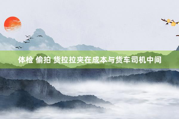 体检 偷拍 货拉拉夹在成本与货车司机中间